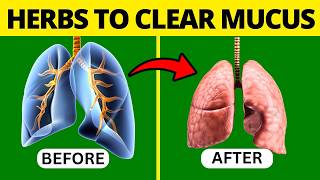 5 Herbs for Lung Health Clearing Mucus COPD and Killing Viruses [upl. by Stubbs]