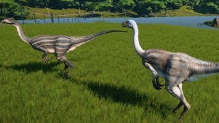 Jurassic World Evolution  Struthiomimus Gameplay PS4 HD 1080p60FPS [upl. by Ades]