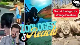 Zoologist Reacts To Viral Animal TikTok [upl. by Sells]