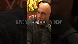 Joe Rogan Reacts to Pierre Poilievre Apple Interview [upl. by Demaggio]