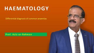 Anaemia Part 3 Differential diagnosis of common anaemias [upl. by Polly247]