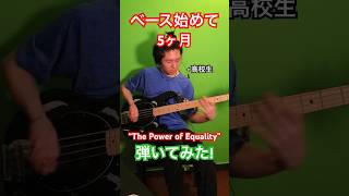 【レッチリ】ベース始めて5ヶ月の高1が”The Power of Equality”を弾いてみた！ベース 弾いてみた [upl. by Norward895]