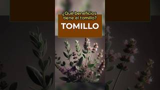 Beneficios del Tomillo cómo hacer la infusión [upl. by Maisel]