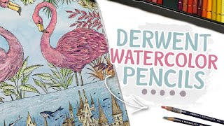 Coloring Flamingos with Derwent Watercolour Pencils  PencilStash Adult Coloring Tutorial [upl. by Ewald]