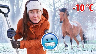 45 TIPS amp EXPERIMENTEN voor als het VRIEST bij de PAARDEN 🥶 [upl. by Yeleek]