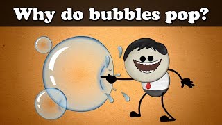 Why do bubbles pop  more videos  aumsum kids science education children [upl. by Ahsitul]