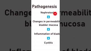 Pathogenesis of Cystitis medical shorts pathology infection cystitis [upl. by Ultann]