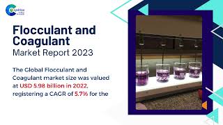 Flocculant and Coagulant Market Report 2024 Global Edition [upl. by Maureene]