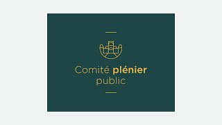 Comité plénier public du 12 décembre 2023 [upl. by Gilemette]