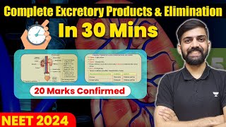 🔥 Excretory Products amp Elimination One shot  30 minutes Series 20 marks guaranteed  NEET  Anmol [upl. by Breech]