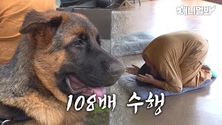 강아지랑 친해지려고 108배까지 한 초딩이 있습니다ㅣKid Who Did 108 Bows To Get Close With The Puppy [upl. by Darda]