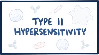 Type II hypersensitivity cytotoxic hypersensitivity  causes symptoms amp pathology [upl. by Alleul315]