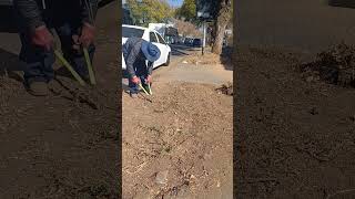 TNC Staff Members Cleaning Central Office Surroundings [upl. by Akirre]