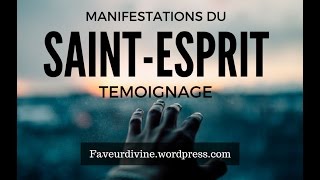 Les manifestations du SaintEsprit Mon témoignage  Connectés à la Fréquence du Ciel [upl. by Auqenehs]