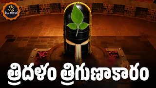 TRIDALAM TRIGUNAKARAM WITH TELUGU LYRICS AND MEANINGS  LORD SHIVA POWERFUL SONGS [upl. by Sydalg]