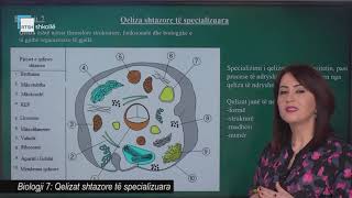 Biologji 7  Qelizat shtazore të specializuara [upl. by Noyr]