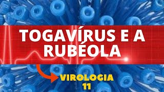 TOGAVÍRUS E A RUBÉOLA  VIROLOGIA  AULA 11 [upl. by Kiel]