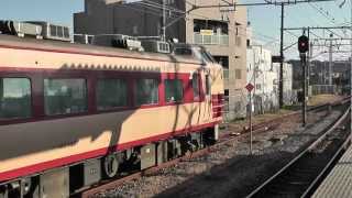 2013鎌倉初詣臨時列車 183系12連 横浜・鎌倉 [upl. by Uis]