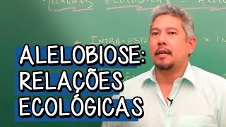 O que é Alelobiose  Extensivo Biologia  Descomplica [upl. by Casey]