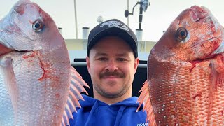 SNAPPER  Barwon Heads November 23 Fish are thick [upl. by Susan759]