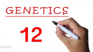 Genetics  Punnett Square amp Branched Line Method for Monohybrid Dihybrid Trihybrid Crosses [upl. by Idak]