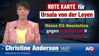 ROTE KARTE für Ursula von der Leyen  Meine EUResolution gegen Korruption amp Vetternwirtschaft [upl. by Waldner]