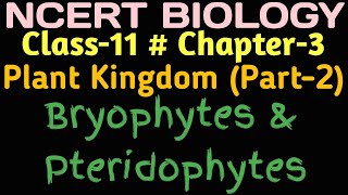 Chapter3 Part2 II Plant Kingdom II Bryophytes and Pteridophytes ncert biology neet [upl. by Ursuline209]