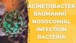 Acinetobacter Baumannii The Stealthy Superbug Menace  Healthgo [upl. by Trillbee943]