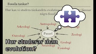 63 Hur studerar man evolution IntroKog [upl. by Niu408]