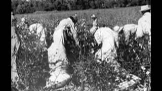 Sharecropping in the Mississippi Delta Podcast [upl. by Ludmilla]