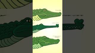 ये हैं भारत के सबसे खतरनाक Crocodile🤔🤯 By info fact News [upl. by Ainnos]