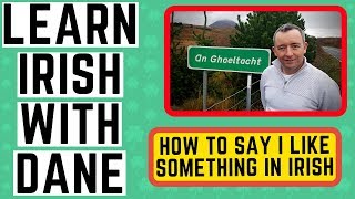 Conversational Irish Language  How to say I like  Is maith liom [upl. by Concordia]