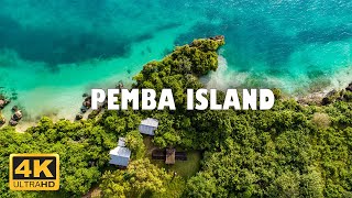 Pemba island Zanzibar Tanzania 🇹🇿  4K Drone Footage [upl. by Lani]