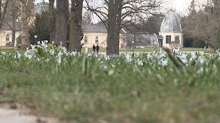 Frühling im Frankfurter Palmengarten [upl. by Edna118]