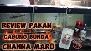 REVIEW MACAMquot PAKAN CABUNG BUNGA  CHANNA MARU By Cheppytam [upl. by Esiuolyram]