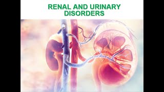 Pediatrics Nephrology Nephrotic Syndrome Glomerulonephritis Hemolytic Uremic Epispadias Hypospadias [upl. by Sotsirhc539]