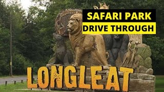 Longleat safari park drive through 2023 [upl. by Naamana]