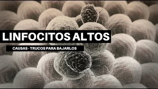 LINFOCITOS ALTOS Causas y formas de bajarlos [upl. by Filiano]