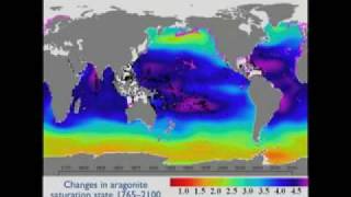 Acidic Oceans Why Should We Care  Perspectives on Ocean Science [upl. by Nanoc798]