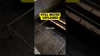 The TikTok quotStill Waterquot Meme Explained [upl. by Pelletier836]