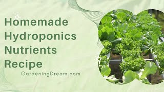 Homemade Hydroponics Nutrients Recipe [upl. by Dnob]