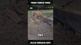 Memotong Pohon yang Masih Tertanam portaldunia [upl. by Janeta327]