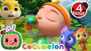 Baby vs Animal Duck Duck Goose  More  Cocomelon  Nursery Rhymes  Fun Kids Cartoons  3 Hours [upl. by Shell326]