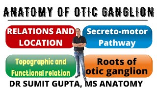 OTIC GANGLION  Anatomy  Roots  Secretomotor pathway [upl. by Fanchon999]