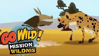 Go Wild Mission Wildnis  Wenn man vom Tasmanischen Teufel spricht Trailer  Folge 5 [upl. by Rehtnug]