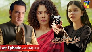 Teri Chhaon Mein Last Episode Review  آخری قسط  Danish Taimoor  Laiba Khhuram  Hamzo World [upl. by Moira]