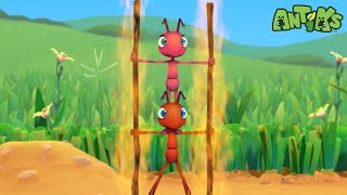 Fire Ants 🔥  ANTIKS  Funny Cartoons For All The Family [upl. by Firooc352]