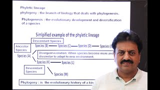 First Year Biology  Chapter 1  Part 6  Phyletic Lineage [upl. by Flint]