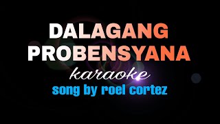 DALAGANG PROBINSYANA roel cortez karaoke [upl. by Domella]