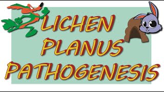 LICHEN PLANUS  Etiology amp pathogenesis [upl. by Ettezus]